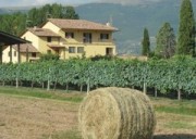 Assisi B&B low cost