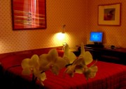 Althea Rooms Firenze